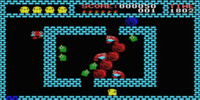 flappy_-_limited_85_(japan)
