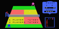 real_tennis_(japan)