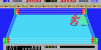 robo_wres_2001_(japan)